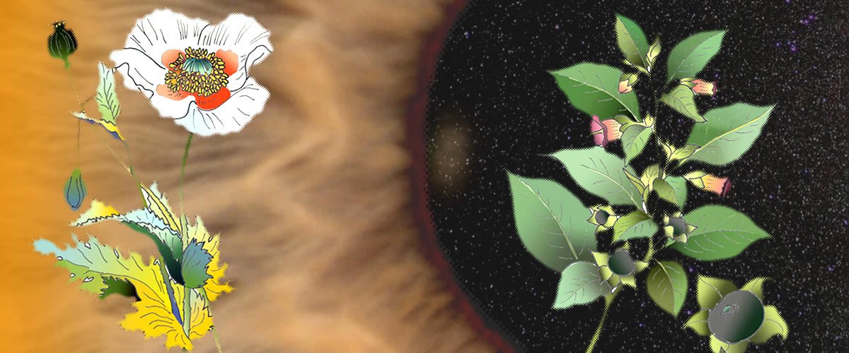 Iridology and autonomic nervous system