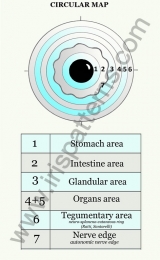 Iris circular map
