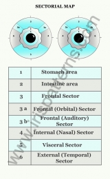 Iris sectorial map