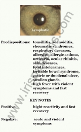 Lymphatic type