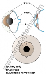 Eye scheme